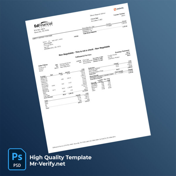 Paylocity earning statement word and pdf template