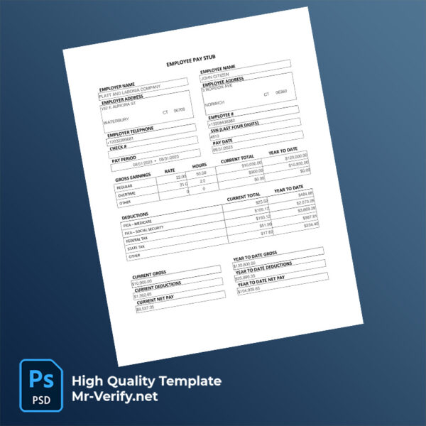 Platt and Labonia Company pay stub word and pdf template