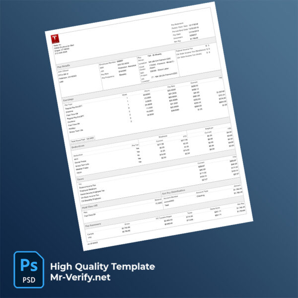 Tesla Inc earning statement word and pdf template