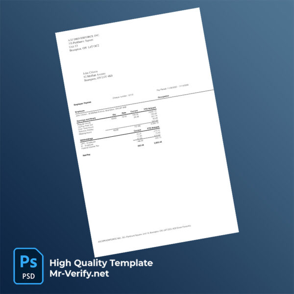 Editable A2Z Driverforce Inc Pay Stub Word & PDF Template – Instant!