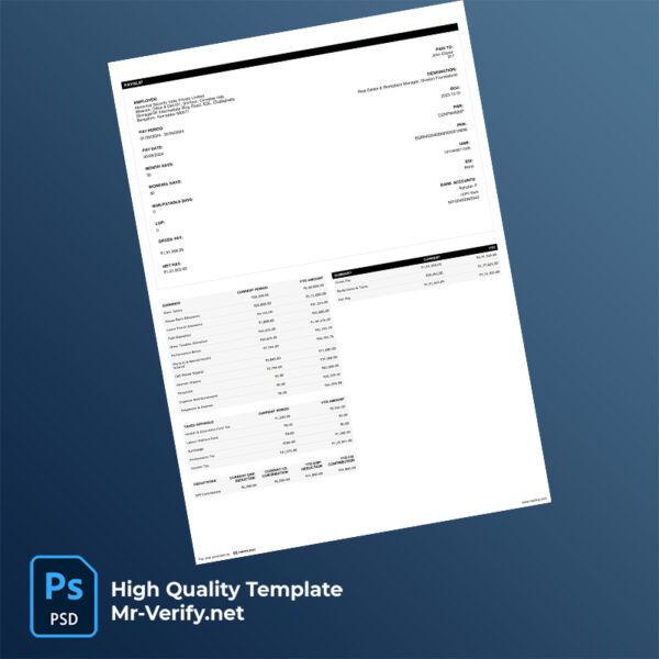 Abnormal Security India Private Limited pay slip word and pdf template