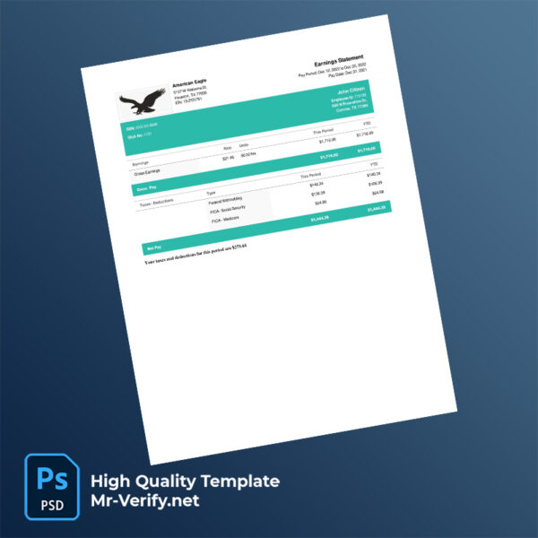 American Eagle earning statement word and pdf template