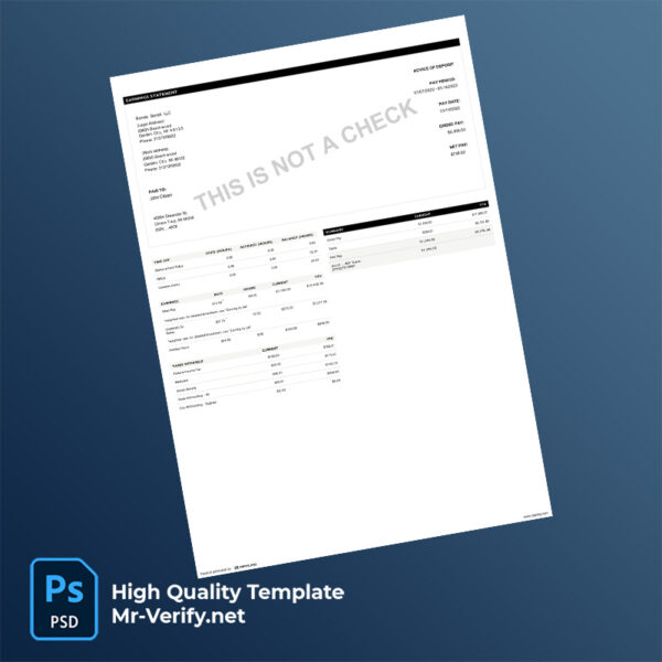 Blonde Bandit LLC earning statement word and pdf template