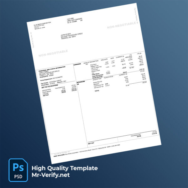 Blue Minds Corporation earning statement word and pdf template