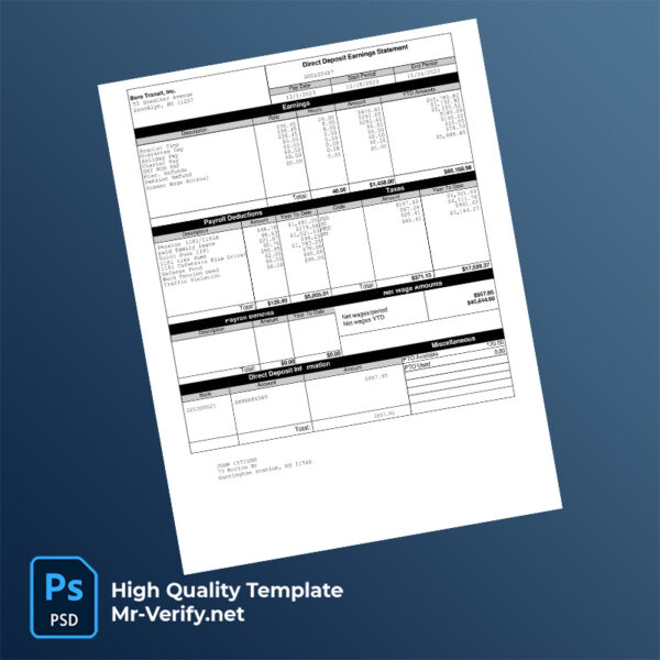 Boro Transit Inc earning statement word and pdf template