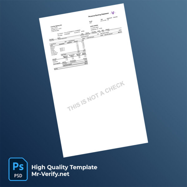 County Agency Inc earning statement word and pdf template