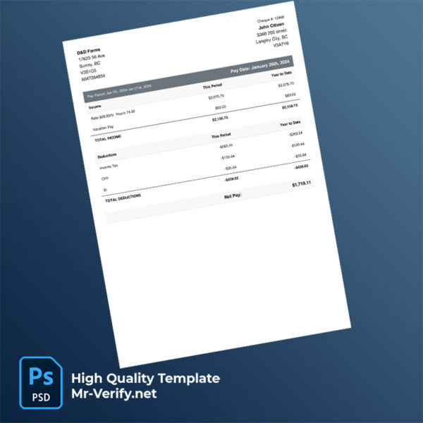 D&D Farms pay stub word and pdf template