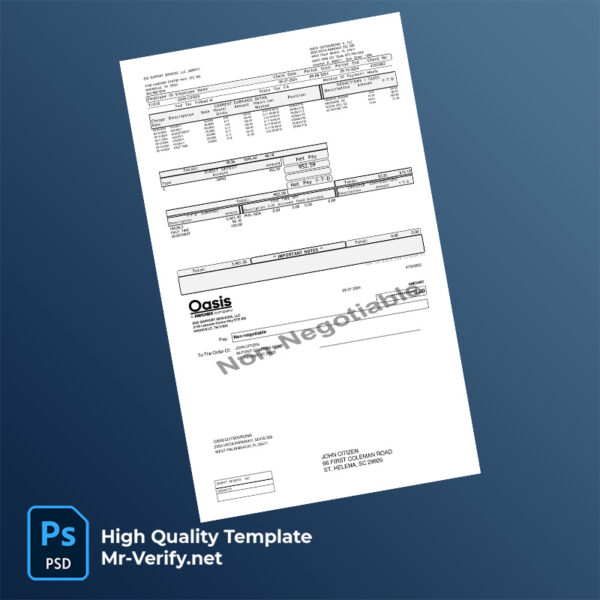 ESS Support Services LLC paycheck word and pdf template