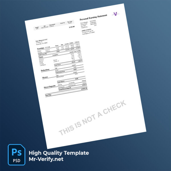 Euro Homecare LLC earning statement word and pdf template