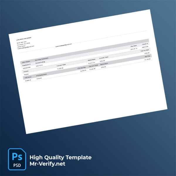 Luxe Reno and Design earning statement word and pdf template