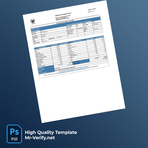 Adhikar Micro Finance (P) Ltd payslip word and pdf template