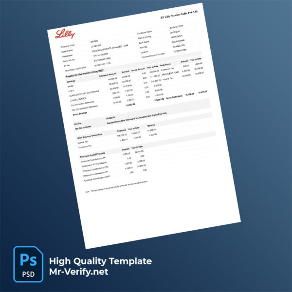 Eli Lilly Services India Pvt Ltd payslip word and pdf template