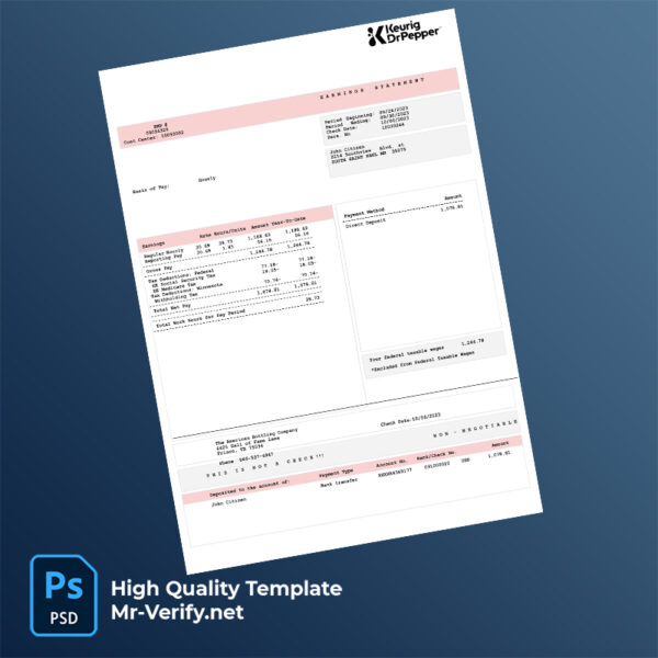 The American Bottling Company  earning statement word and pdf template