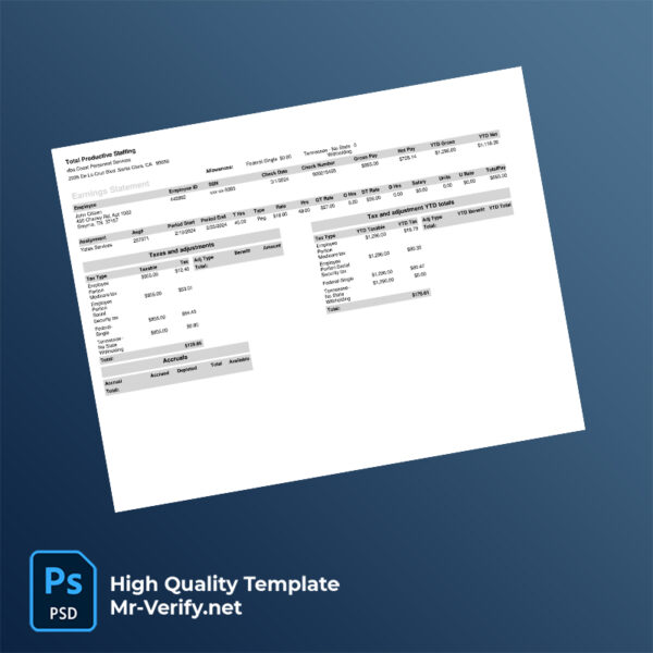 Trip Actions Inc pay stub word and pdf template