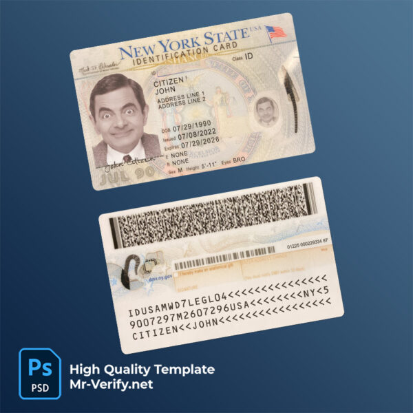 USA New York ID card Psd Template (2022-present)