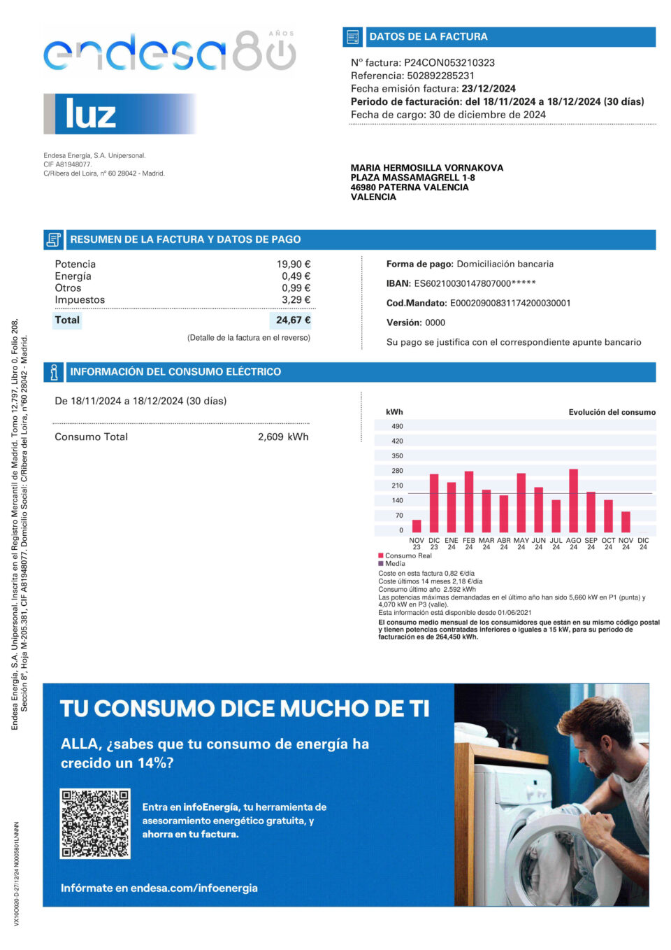 Argentina Endesa Editable Electricity Bill Template in Word and PDF formats