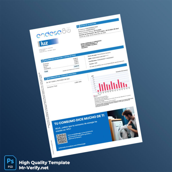 Argentina Endesa Energía Editable Utility Bill Template in Word and PDF formats