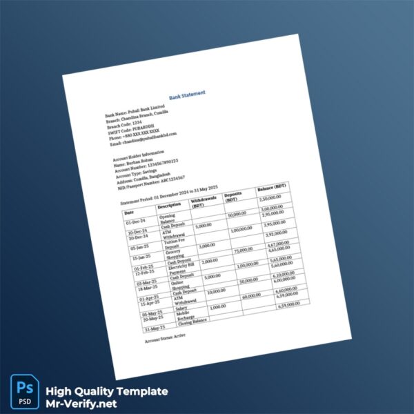 Bangladesh Pubali Bank Limited Bank Statement Template in Word and PDF formats 2 page
