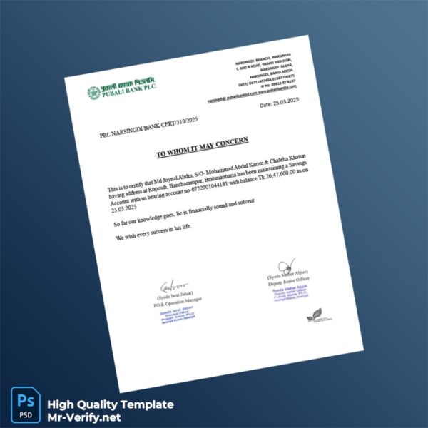Bangladesh Pubali Bank Statement Template in Word and PDF formats 7 page
