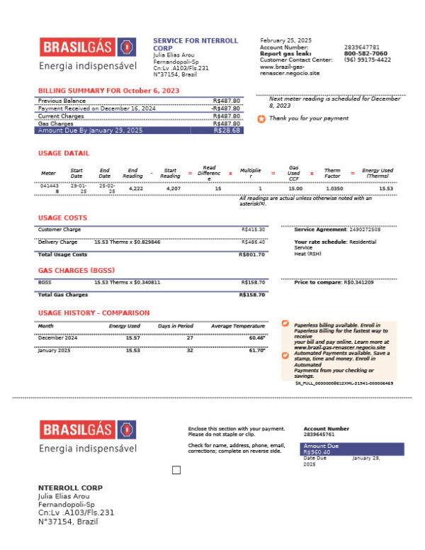 Brazil Brasildás Editable Gas Bill Template in Word and PDF formats
