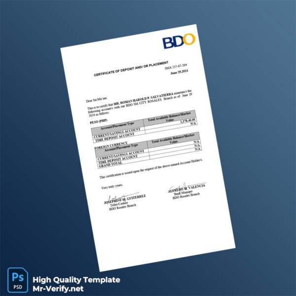 C3 Bank Statement Template in Word and PDF formats 5 page
