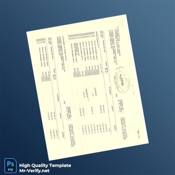 CDC Bank Statement Template in Word and PDF formats 4 page
