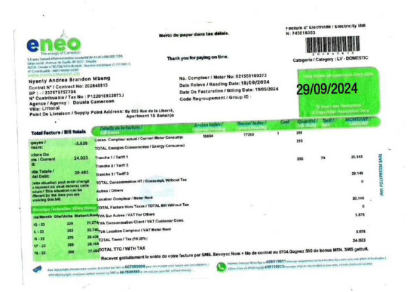 Cameroon Eneo Editable Utility Bill Template in Word and PDF formats