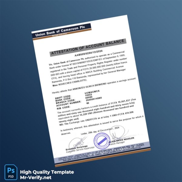 Cameroon Union Bank of Cameroon Plc Bank Statement Template in Word and PDF formats 2 page