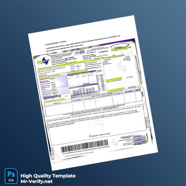 Colombia Editable Electricity Bill Template in Word and PDF formats 2 page