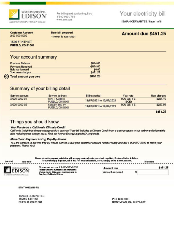 Country_ Company_Authority issuer _ Document Type_ Utility Bill Editable Utility Bill Template in Word and PDF formats 8 page