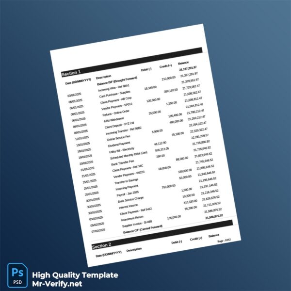 Country_ Bank_Issuer_ Document Type_ Balance Sheet Bank Statement Template in Word and PDF formats 5 page