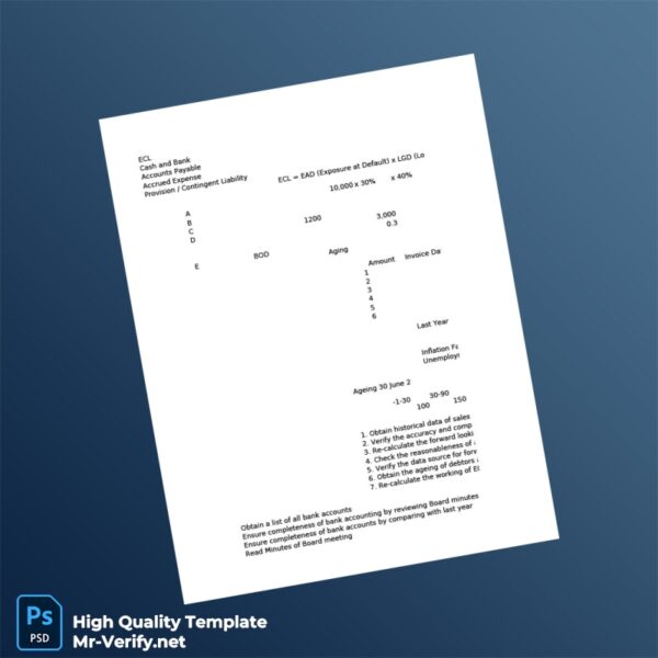 Country_ Bank_Issuer_ Document Type_ Substantive Procedures Template in Word and PDF formats 4 page