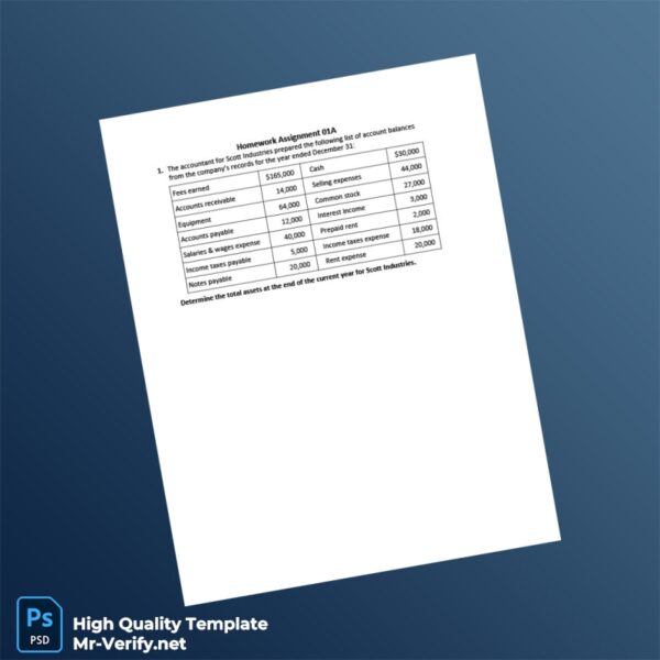 Country_ Company_Authority issuer _ Document Type_ Accounting Homework Assignment Editable Accounting Homework Assignment Templa 4 page