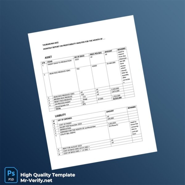 Country_ Company_Authority issuer _ Document Type_ Monthly Report On Profitability Analysis Editable Monthly Report On Profitabi 2 page