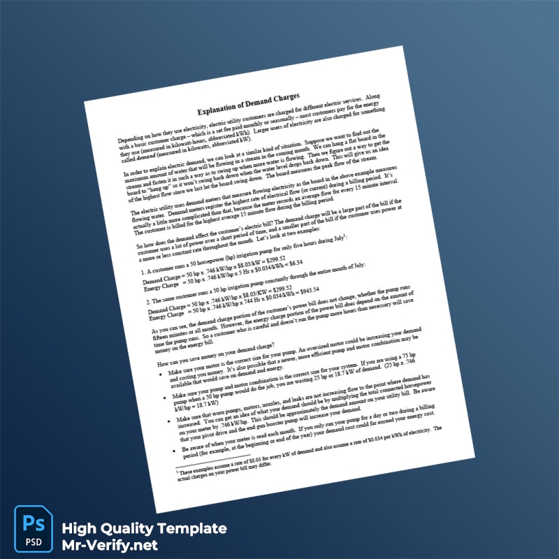 Country_ Company_Authority issuer _ Document Type_ e Demand Charges Editable e Demand Charges Template in Word and PDF formats