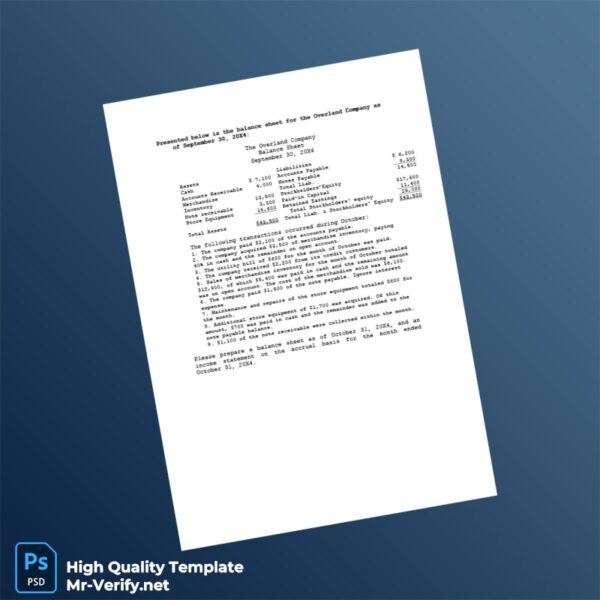 Editable Balance Sheet Template in Word and PDF formats