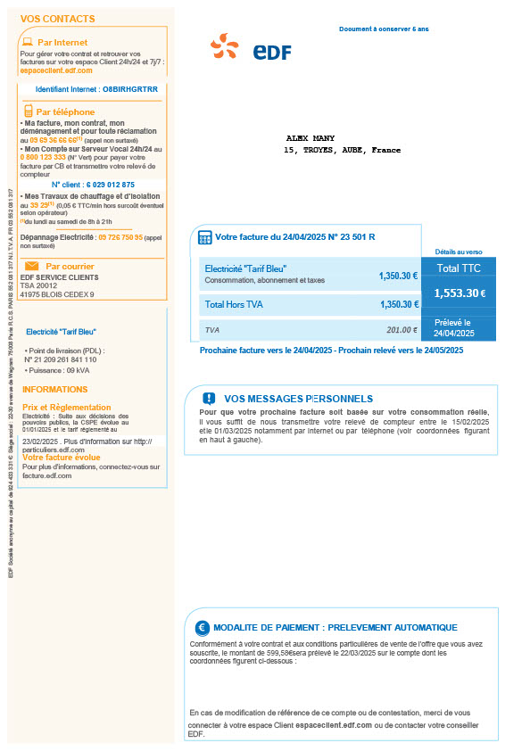 France EDF Editable Electricity Utility Business Bill Template in Word and PDF formats