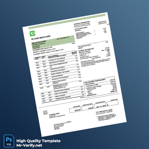 France TD Bank Statement Template in Word and PDF formats 2 page
