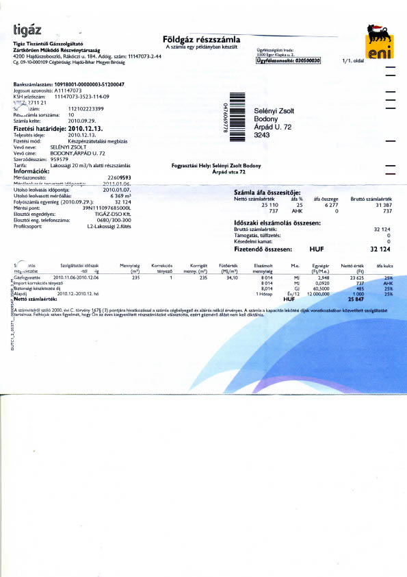 Hungary Editable Utility Bill Template in Word and PDF formats
