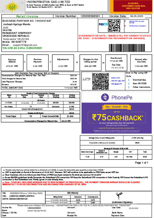 India Indraprastha Gas Limited Editable Utility Bill Template in Word and PDF formats