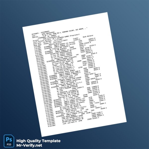 India Apex Industries Bank Statement Template in Word and PDF formats 3 page