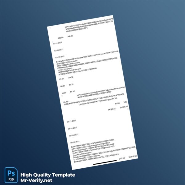 India BankLTD Bank Statement Template in Word and PDF formats