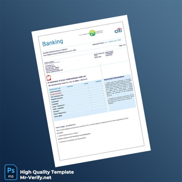 India Citibank Account Statement Template in Word and PDF formats 4 page