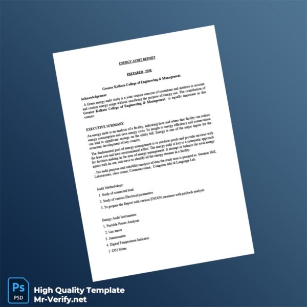 India Editable Energy Audit Report Template in Word and PDF formats 3 page