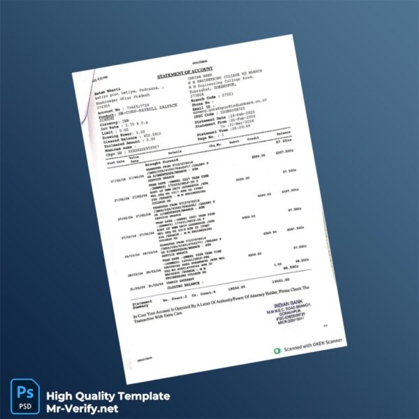 India Indian Bank Account Statement Template in Word and PDF formats