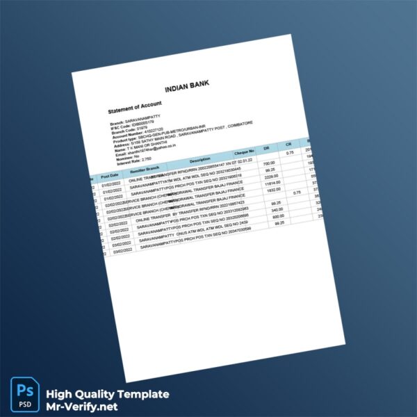India Indian Bank Statement Template in Word and PDF formats