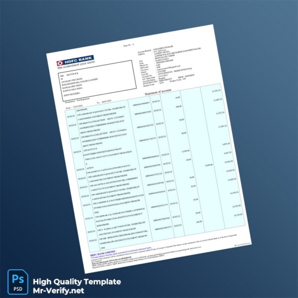 India Mayur Bank Statement Template in Word and PDF formats 2 page