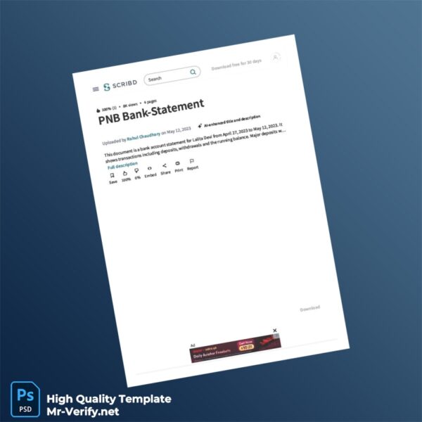 India PNB Bank Statement Template in Word and PDF formats 8 page