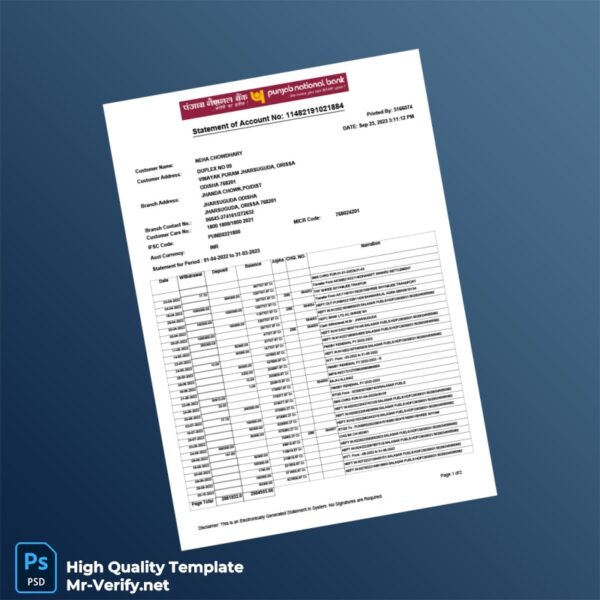 India Punjab National Bank Statement Template in Word and PDF formats 2 page