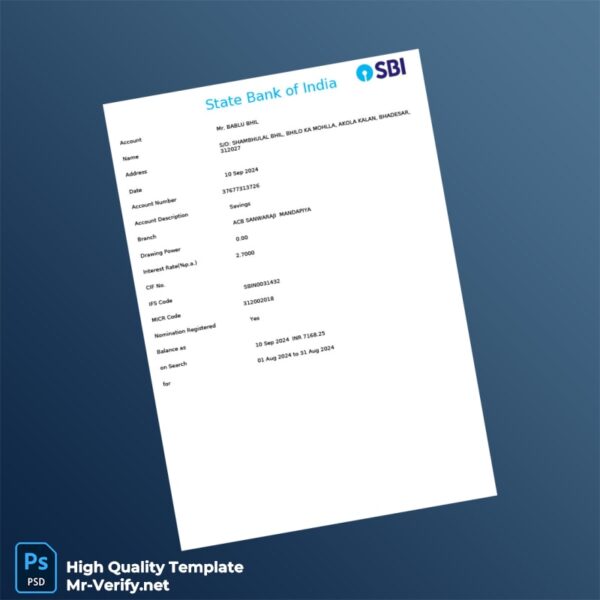 India SBI Bank Statement Template in Word and PDF formats 2 page